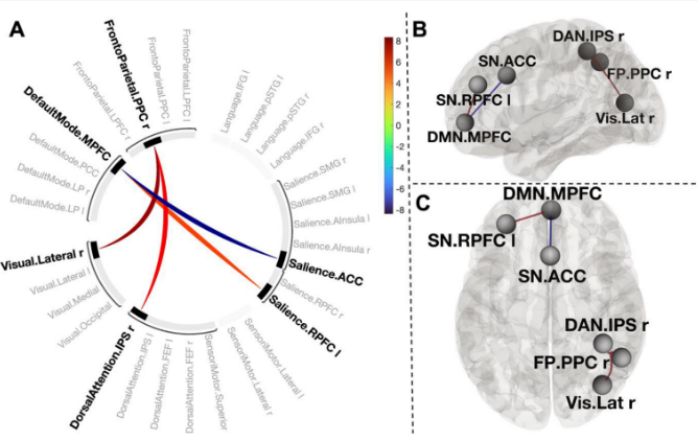 2.14脑科学日报|首次揭示冷“休克”后如何引起大脑内部变化