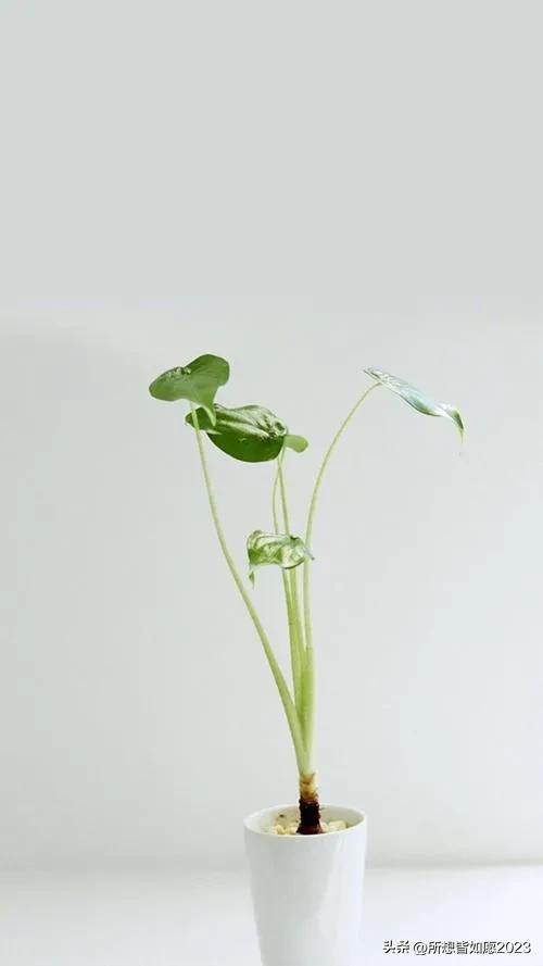 北京奇怪自然现象,北京夜晚惊现奇妙现象