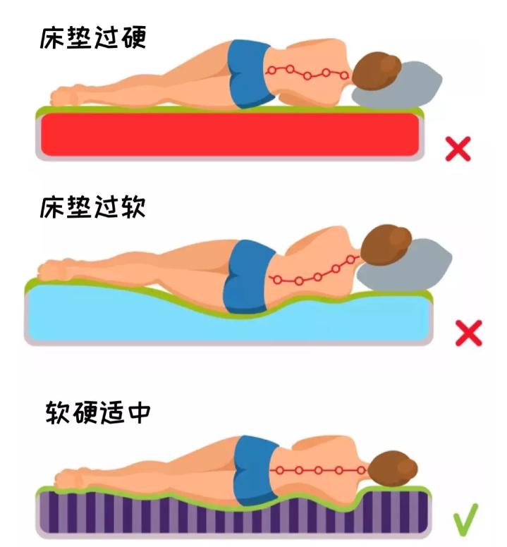 床垫推荐2021床垫怎么选,网易严选床垫和芝华仕床垫怎么选