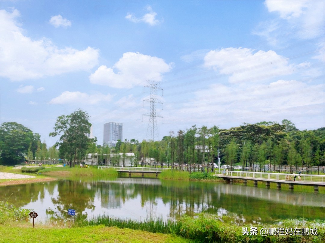 深圳龙华区观澜中心公园,龙华观澜中心公园