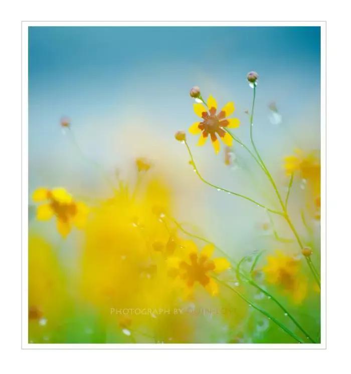 可惜我没赶上那十年，保留此文，当作怀念