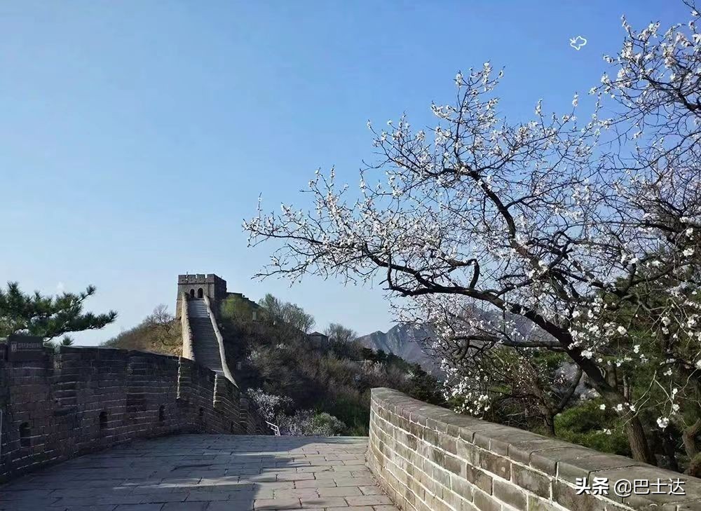 北京长城八达岭旅游攻略自由行,去北京八达岭长城旅游攻略自由行