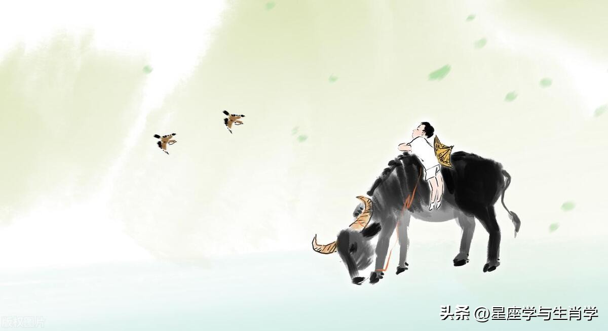 生肖牛的运势大全图解,2023年12月25日吉祥色