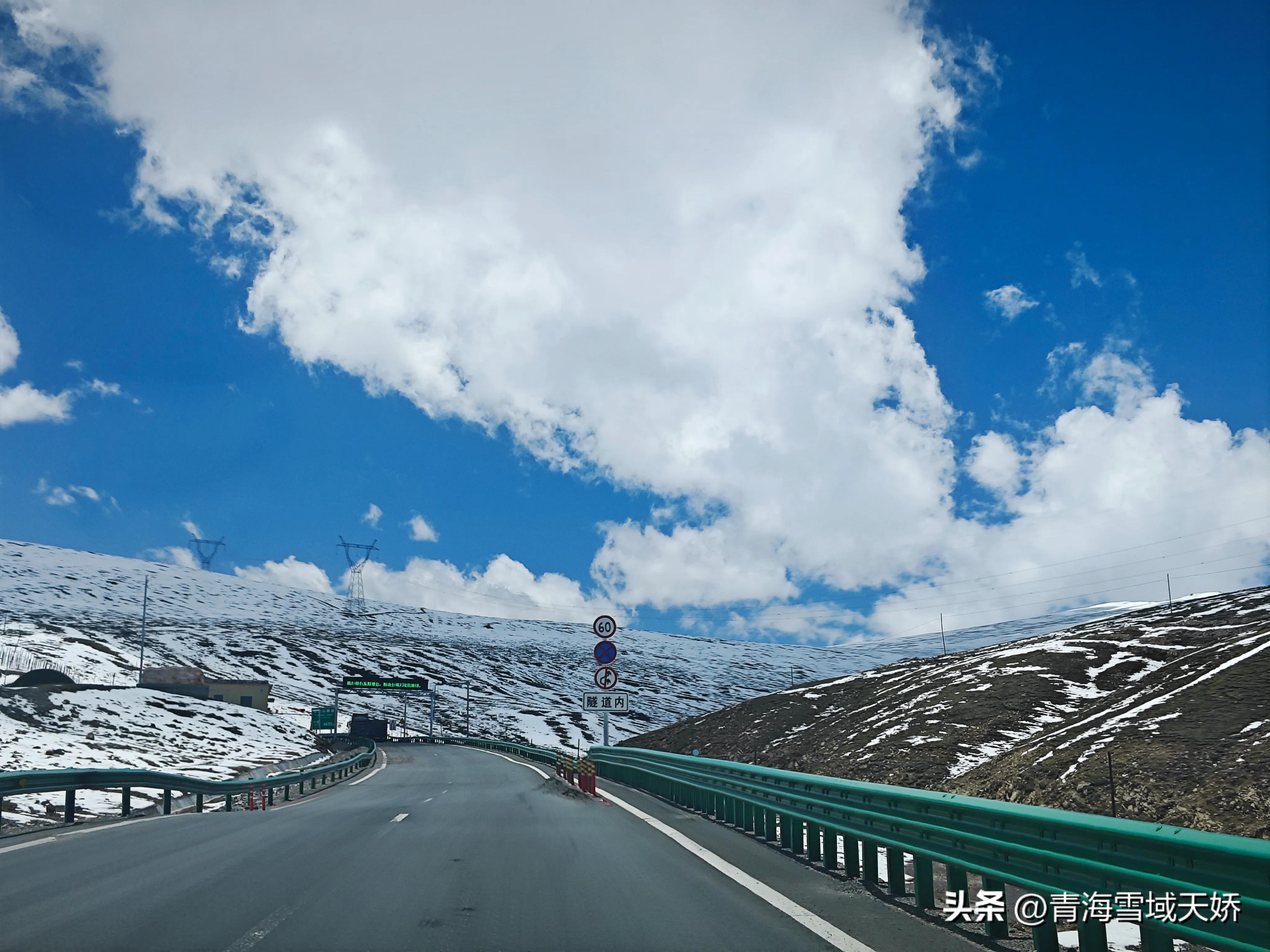 冬虫夏草从哪里挖的,野生冬虫夏草怎么使用