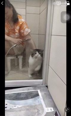 “我再也不想跟老公一块睡了”网友:我出50块,把床铺大点哈哈哈