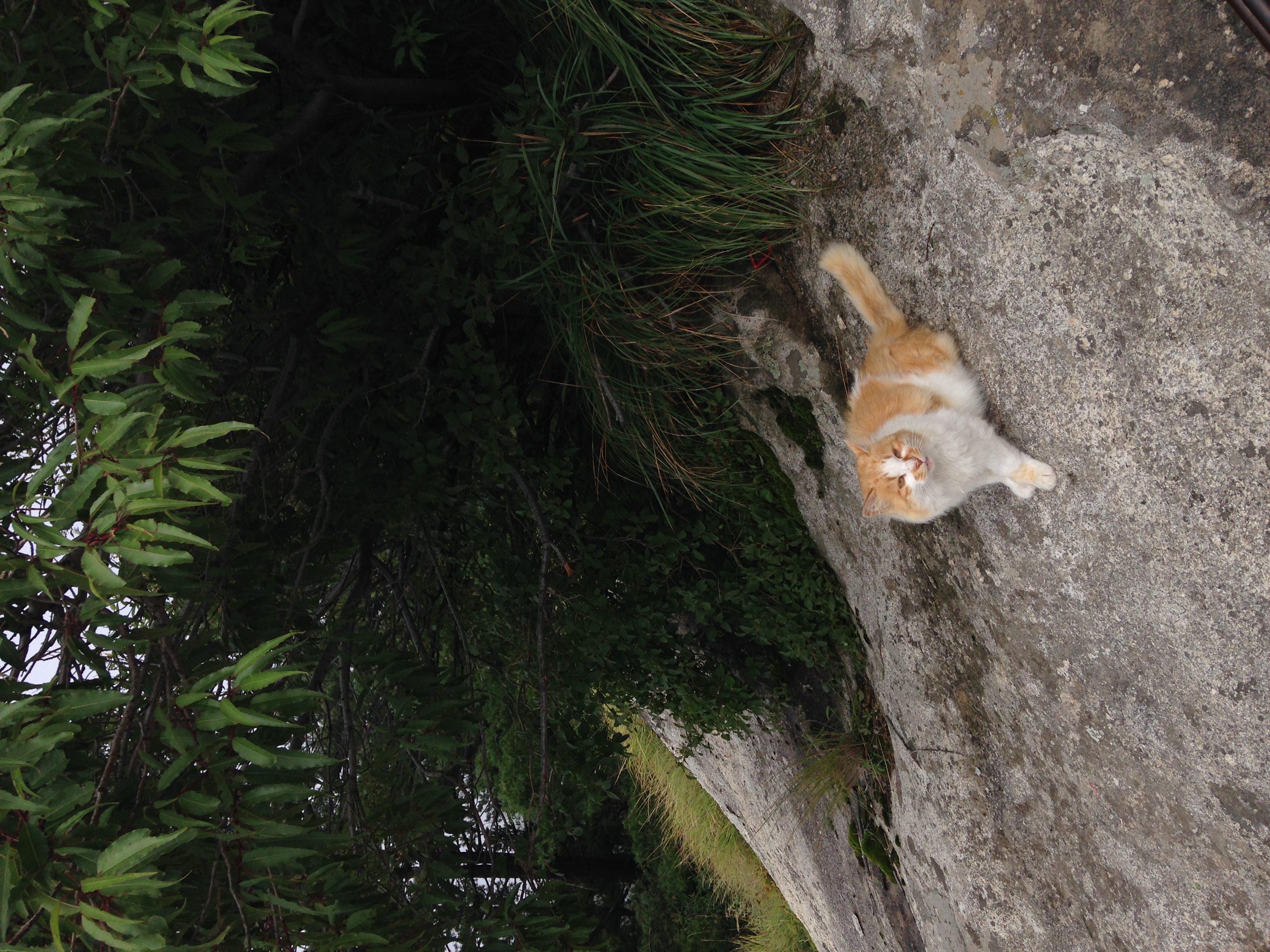 华山这么危险建议爬吗,去华山一定得爬最险的吗