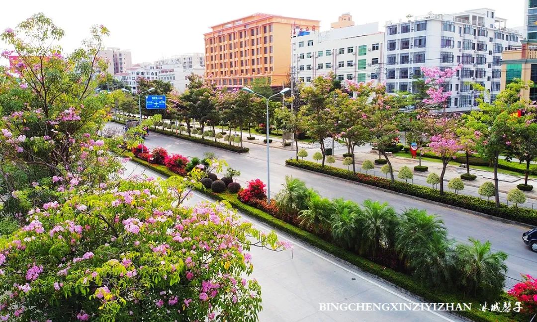 旅居海南：九所新区的浪漫情