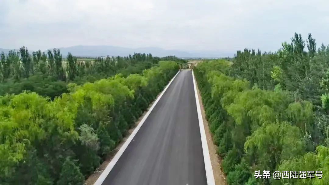 戈壁植树技术,沙漠种树前景如何