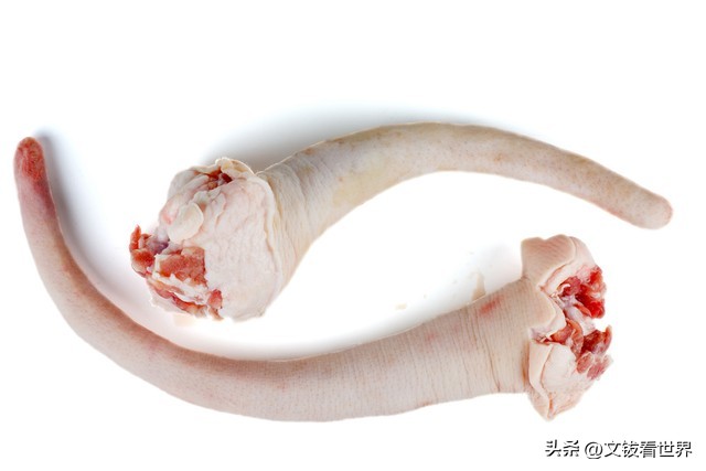 文钹开讲——说说猪尾巴