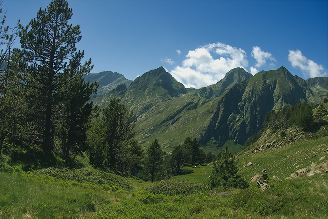 中考化学回归课本,化学回归课本