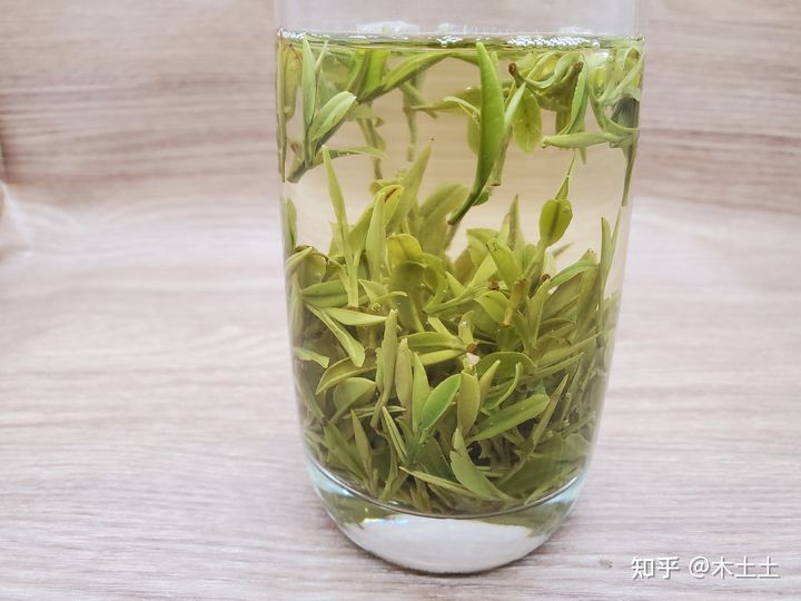 安徽金山时雨茶属什么茶,福建茶和安徽茶哪个好