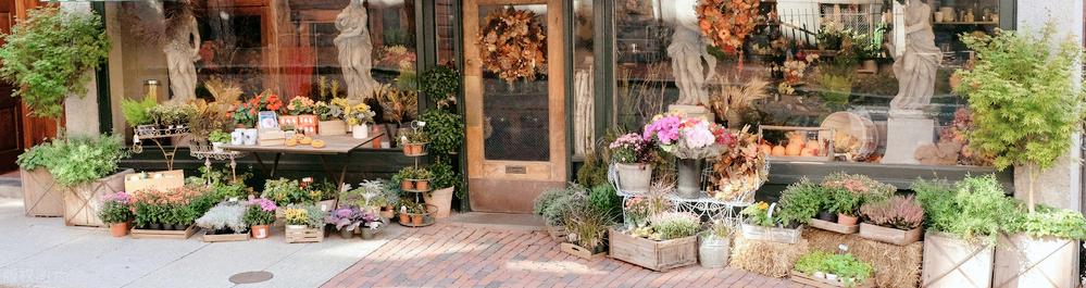 花店创业的发展规划,花店创业的基本条件及可行性分析