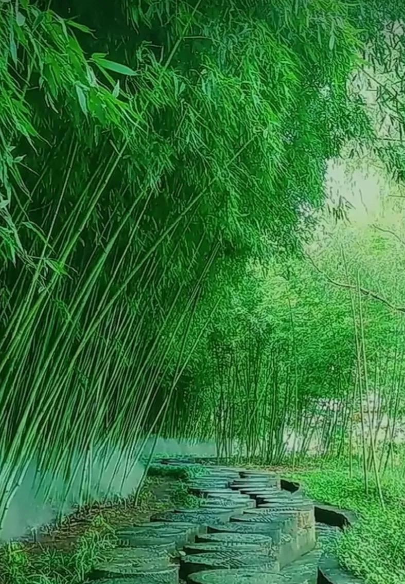 道之尊，德之贵，夫莫之命而常自然