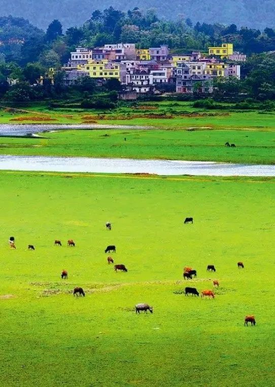 南宁徐霞客出游攻略,徐霞客在广西住了多少年