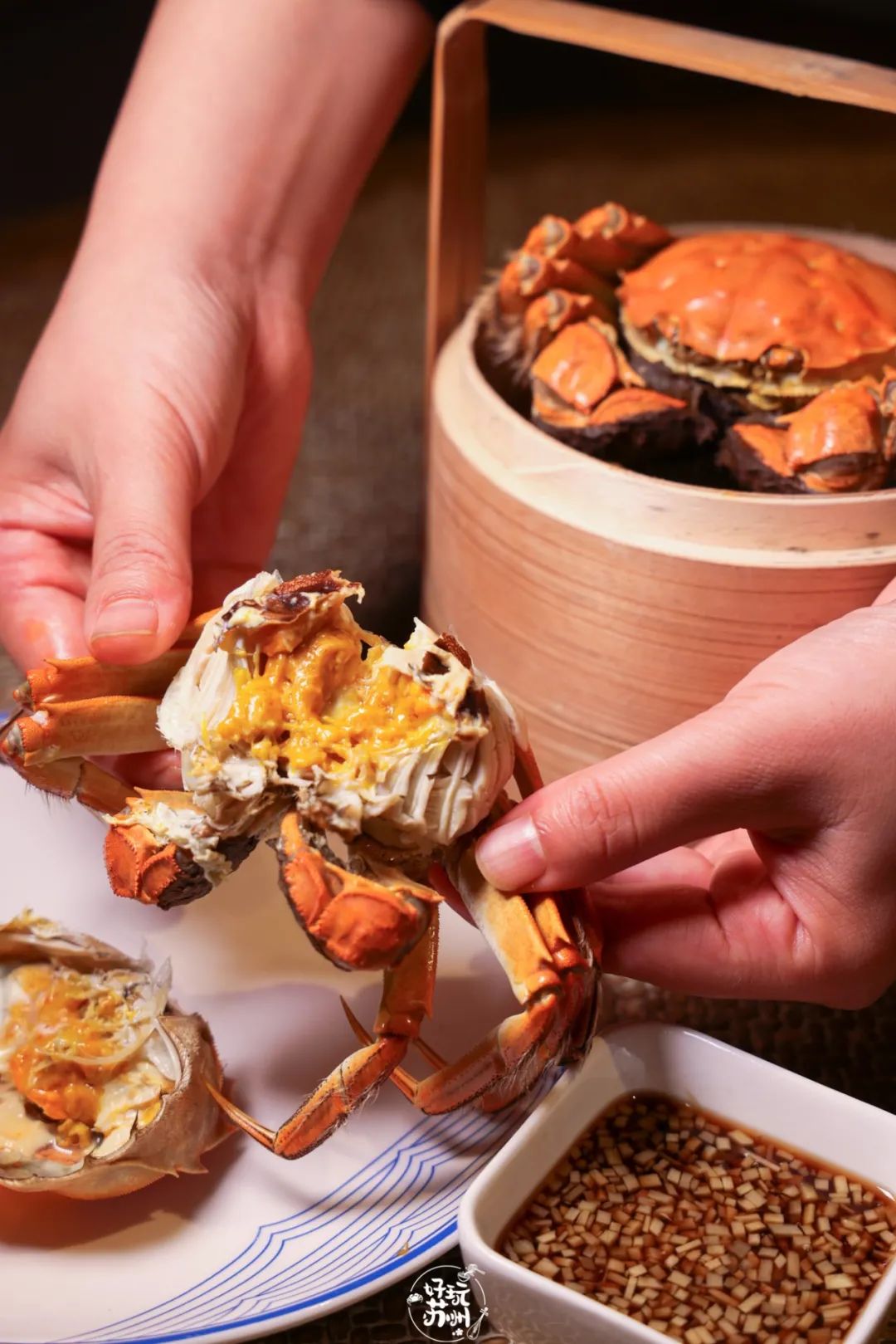 2049年阳澄湖大闸蟹开捕时间,2021阳澄湖大闸蟹捕捉时间