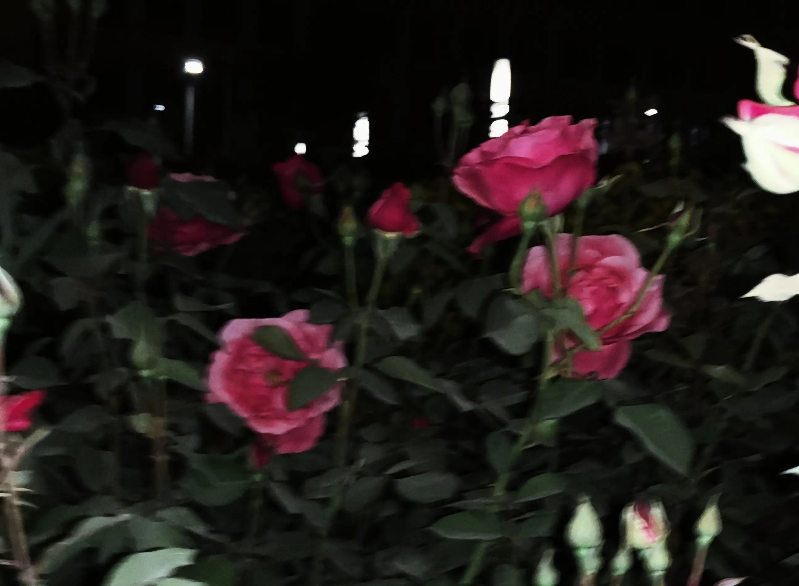 你的室友哪一刻恶心到你了,你的室友有哪一刻让你觉得恶心