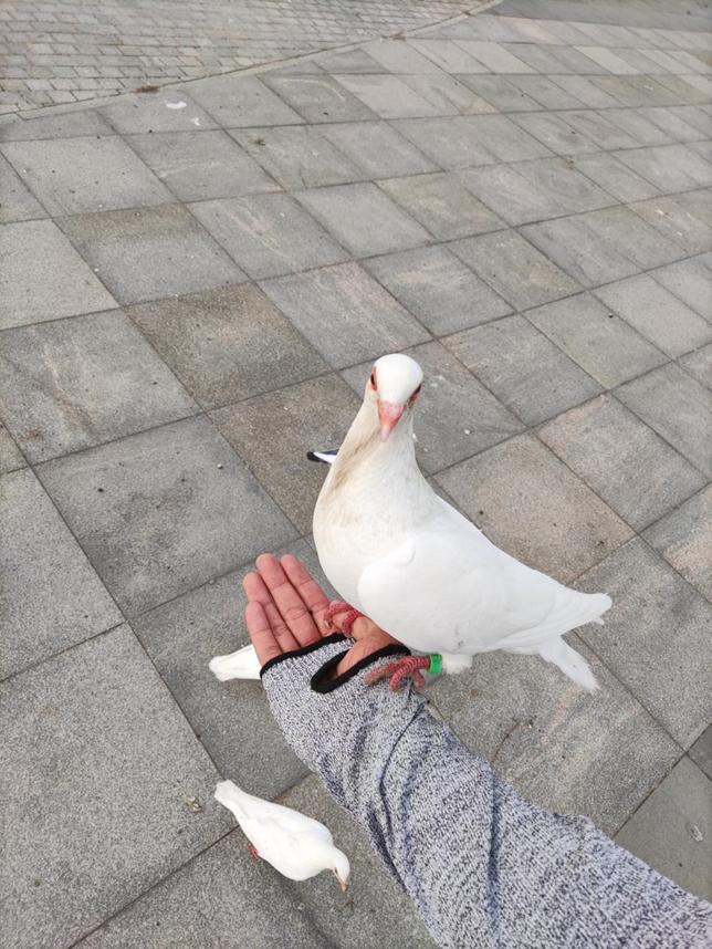 美丽校园行-2|历史生眼中的天津师范大学主校区