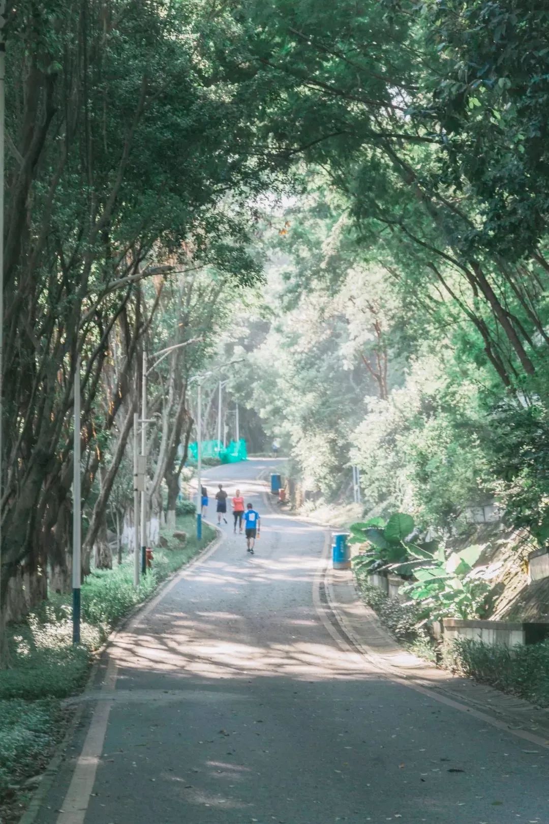 深圳10条入门登山线路推荐,深圳十大山峰最新登山攻略