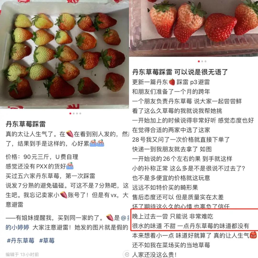 吃最贵的日本草莓,你吃过吗150元一斤的菠萝味草莓