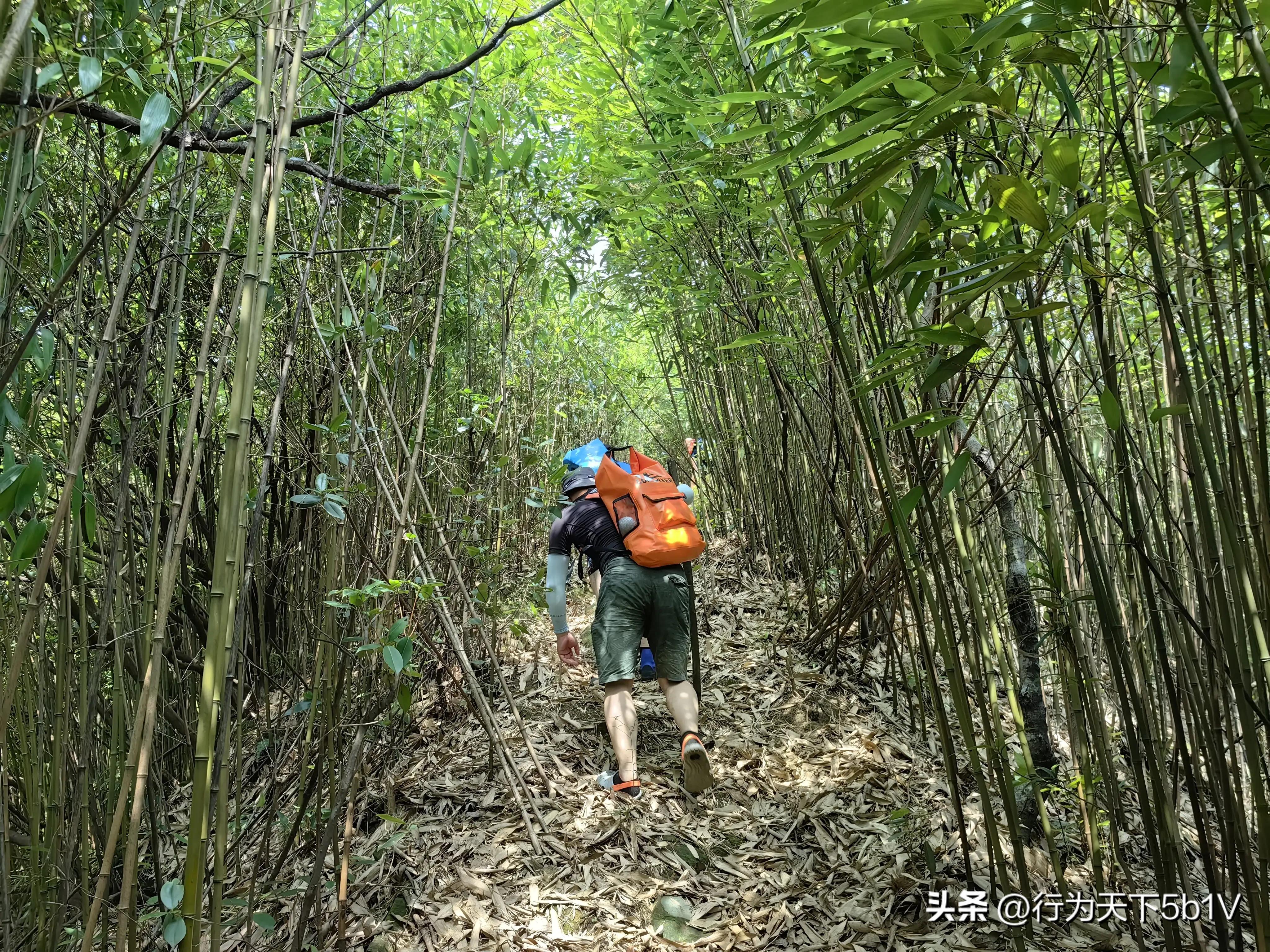 【探秘金紫山下的清凉秘境】行走在资源资江源大峡谷的风景线上