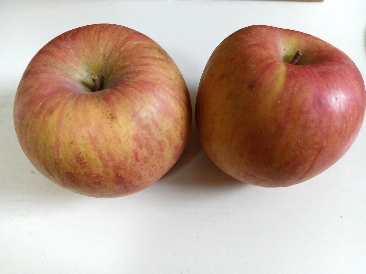 适合平时补充多种维生素的水果,吃哪几种水果会补充全部的维生素