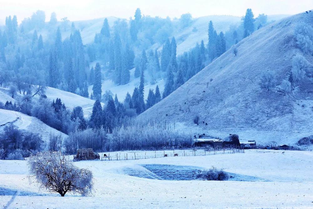 火了！新源又火了！全国瞩目，未来发展不可估量！为你的家乡比心