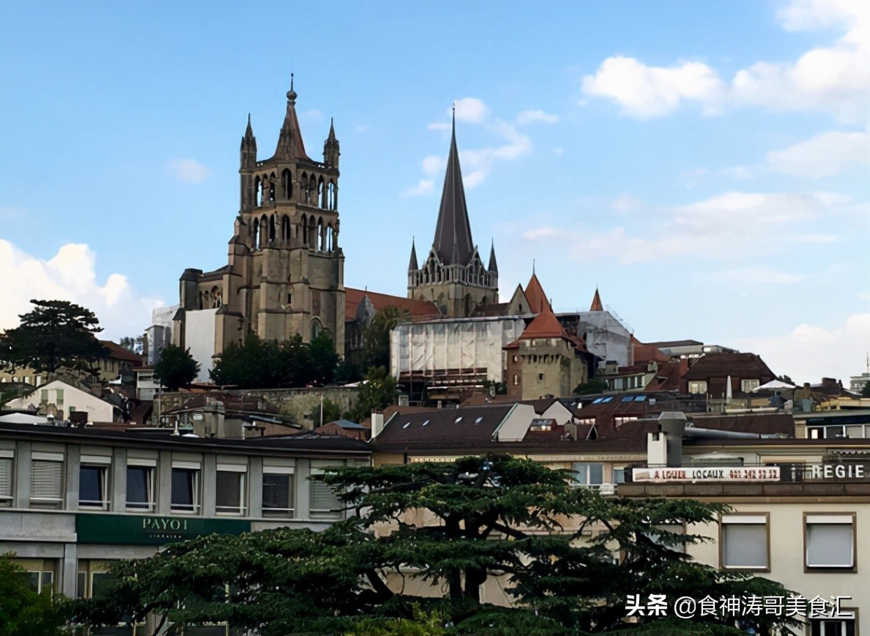 瑞士人每天吃什么,瑞士人平常都吃啥饭