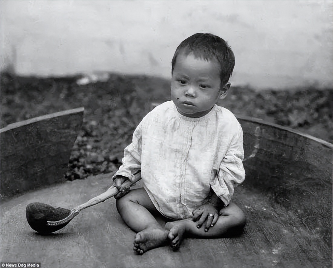 动物把人类关在笼子当宠物,把人类关进笼子的动物园