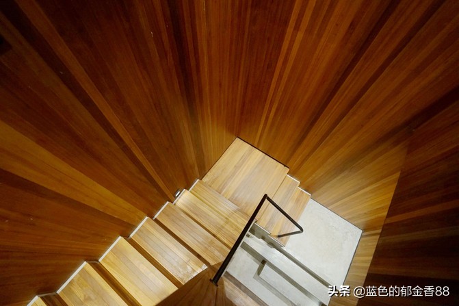 周末白相里的一张床、一群朋友、暴走于迪士尼乐园