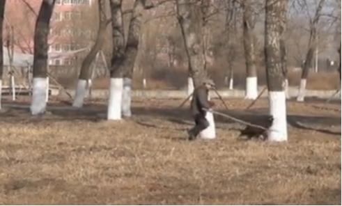 辽宁男子救助秃鹫,沈阳救助秃鹫