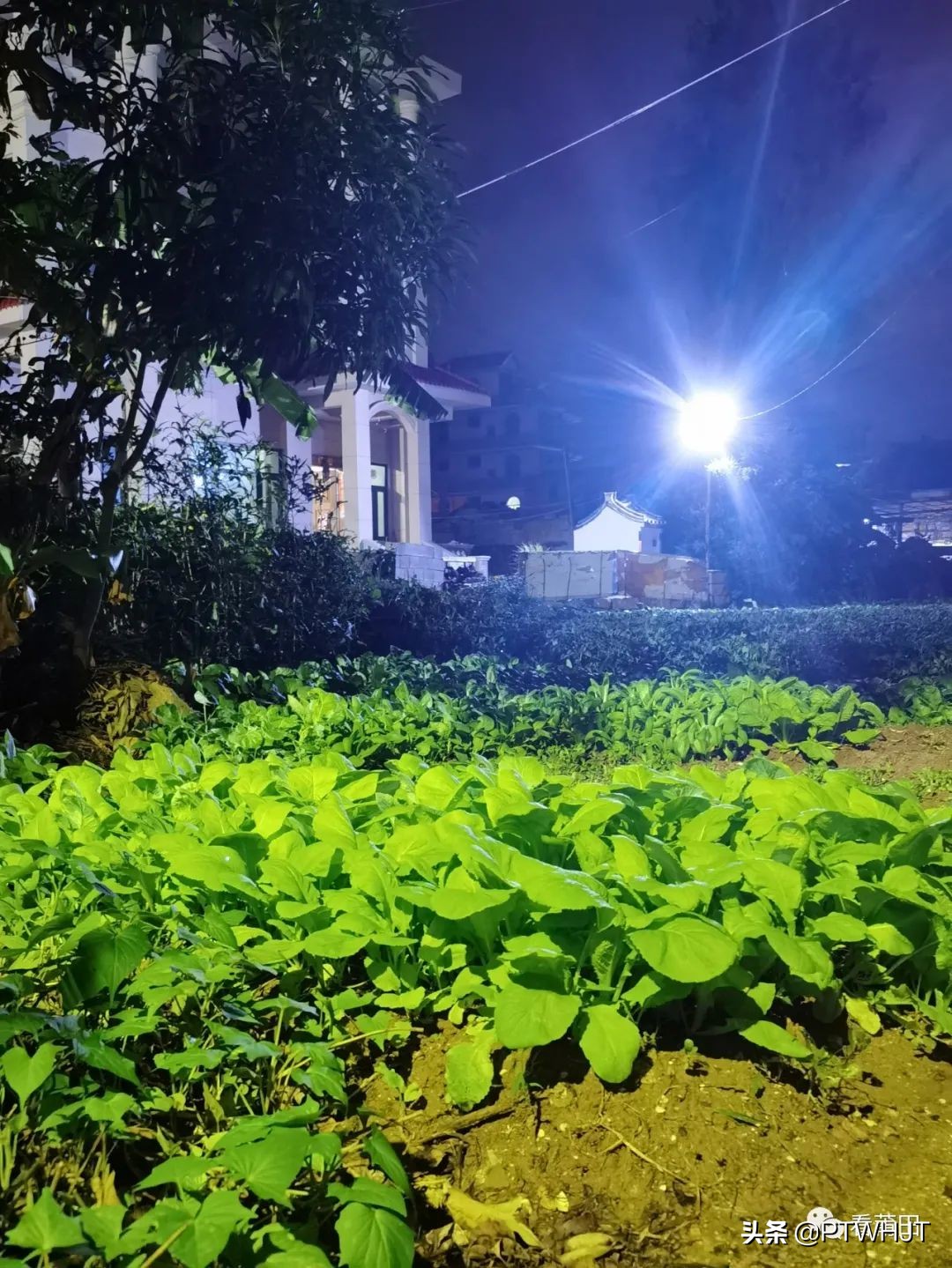 正荣地产有什么问题,正荣地产的标志