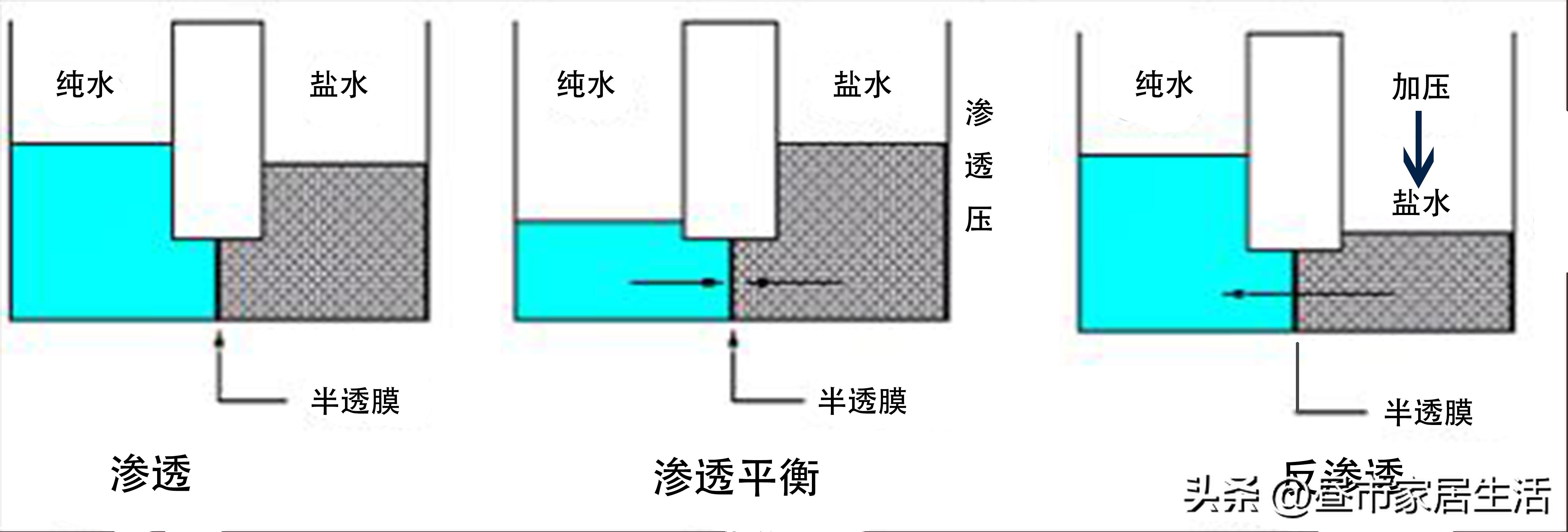 家里自来水太咸怎么办,自来水烧开口感很涩
