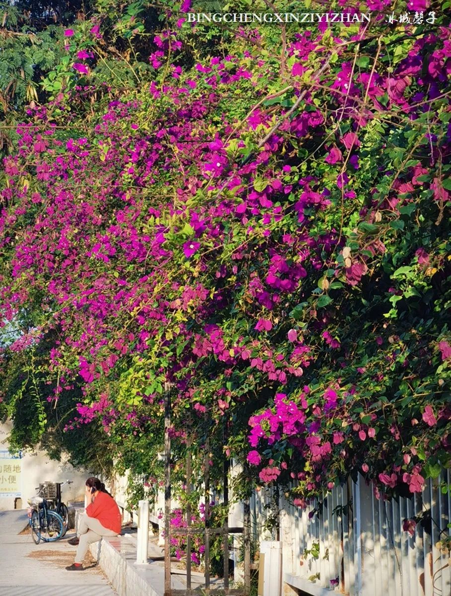 旅居海南,旅居式旅游生活海南
