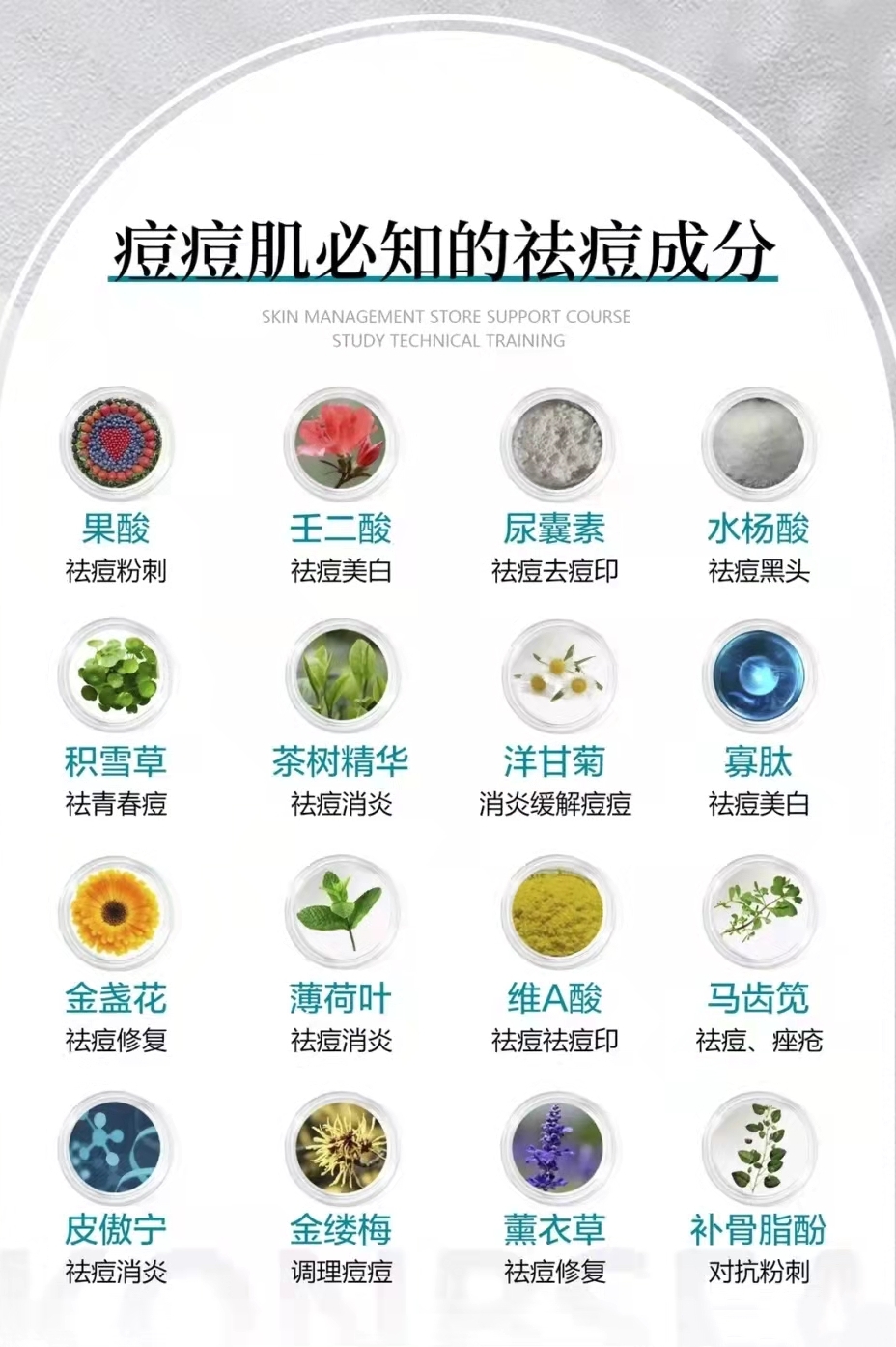 祛痘全部系列,祛痘总结100个字