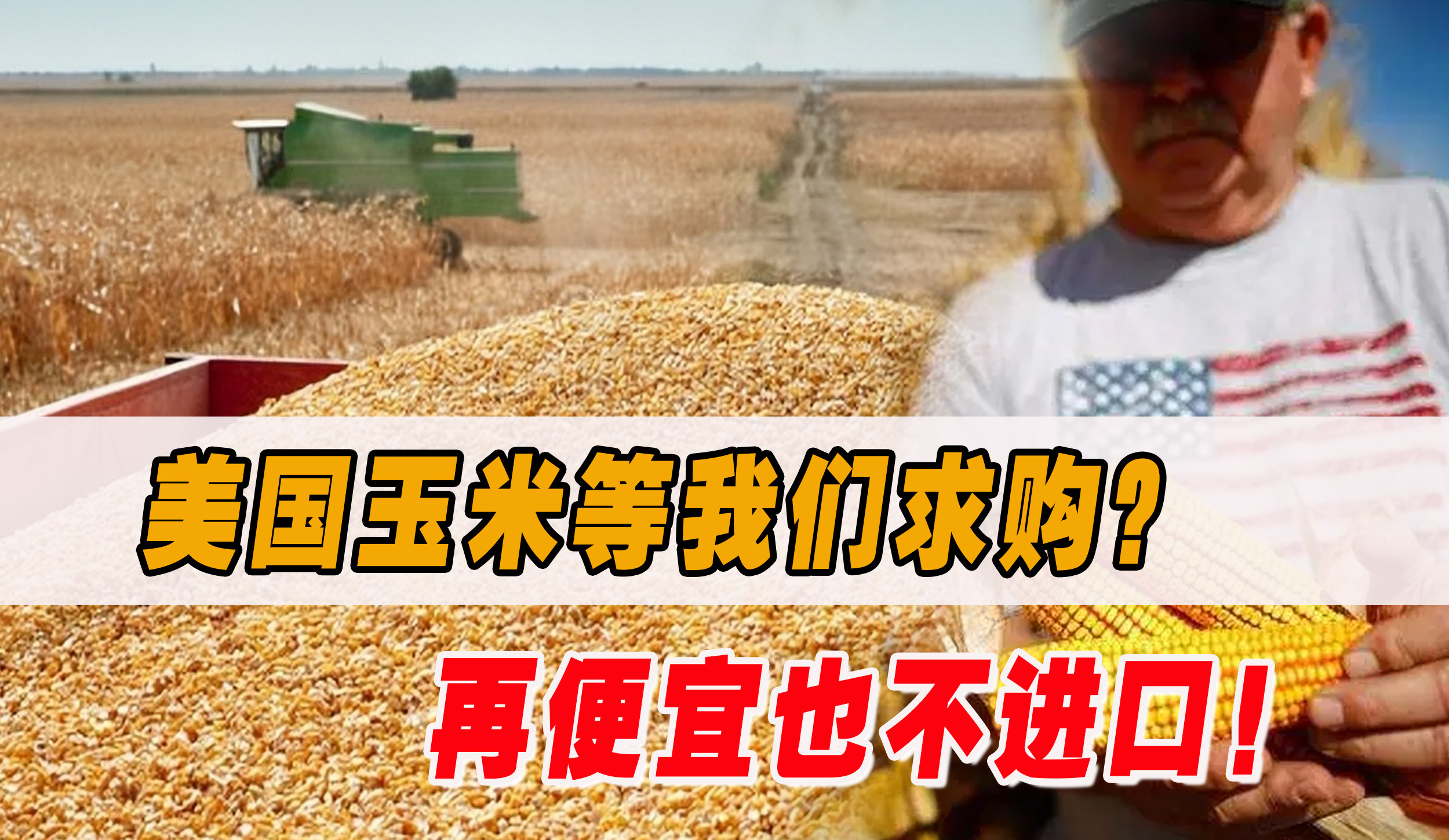 美玉米再便宜也不进口，还口出狂言等我国求购？给美国上了一课！