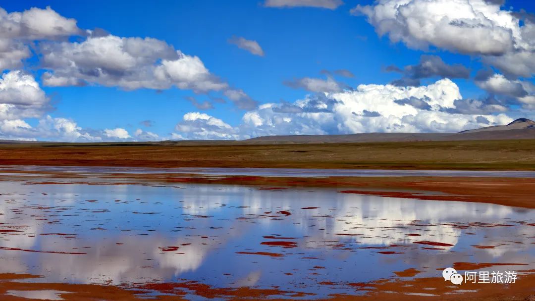 你永远可以相信迪丽热巴,你永远可以相信彝语的魅力