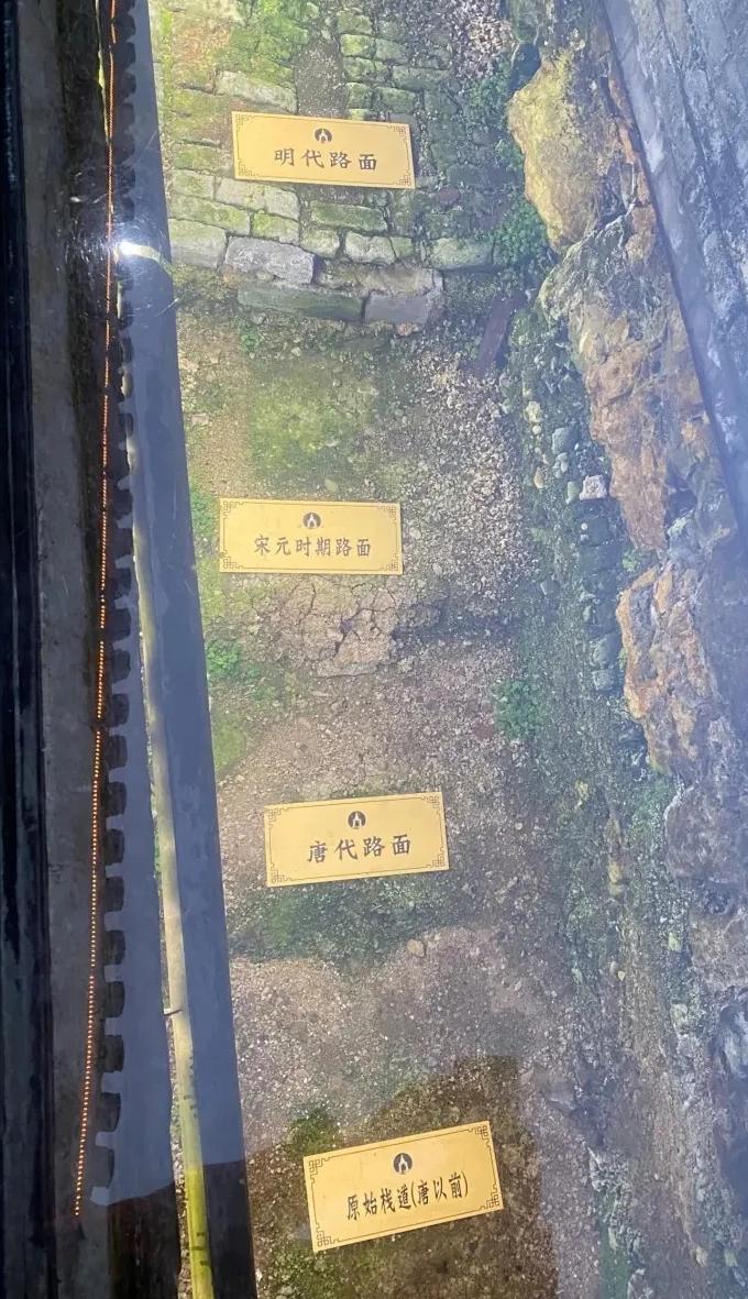 镇江养老服务排名,镇江定居养老真实感受