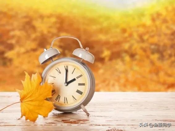 关于十月十五的谚语,农历十月谚语你知道多少呢