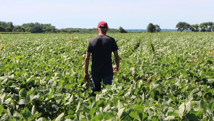 发达国家对农业多实行财政补贴,发达国家对农业的政策