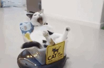 洗了这么多年脸才发现自己洗错了,洗了这么多年衣服白洗了