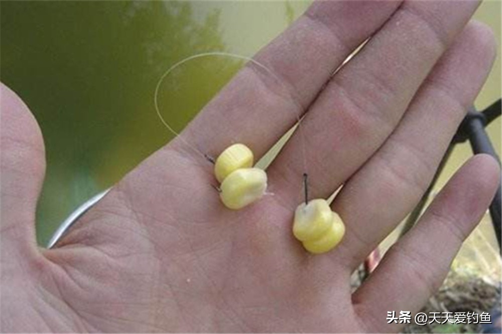 玉米怎么挂钩更容易中鱼,玉米饵鱼不吃钩怎么办