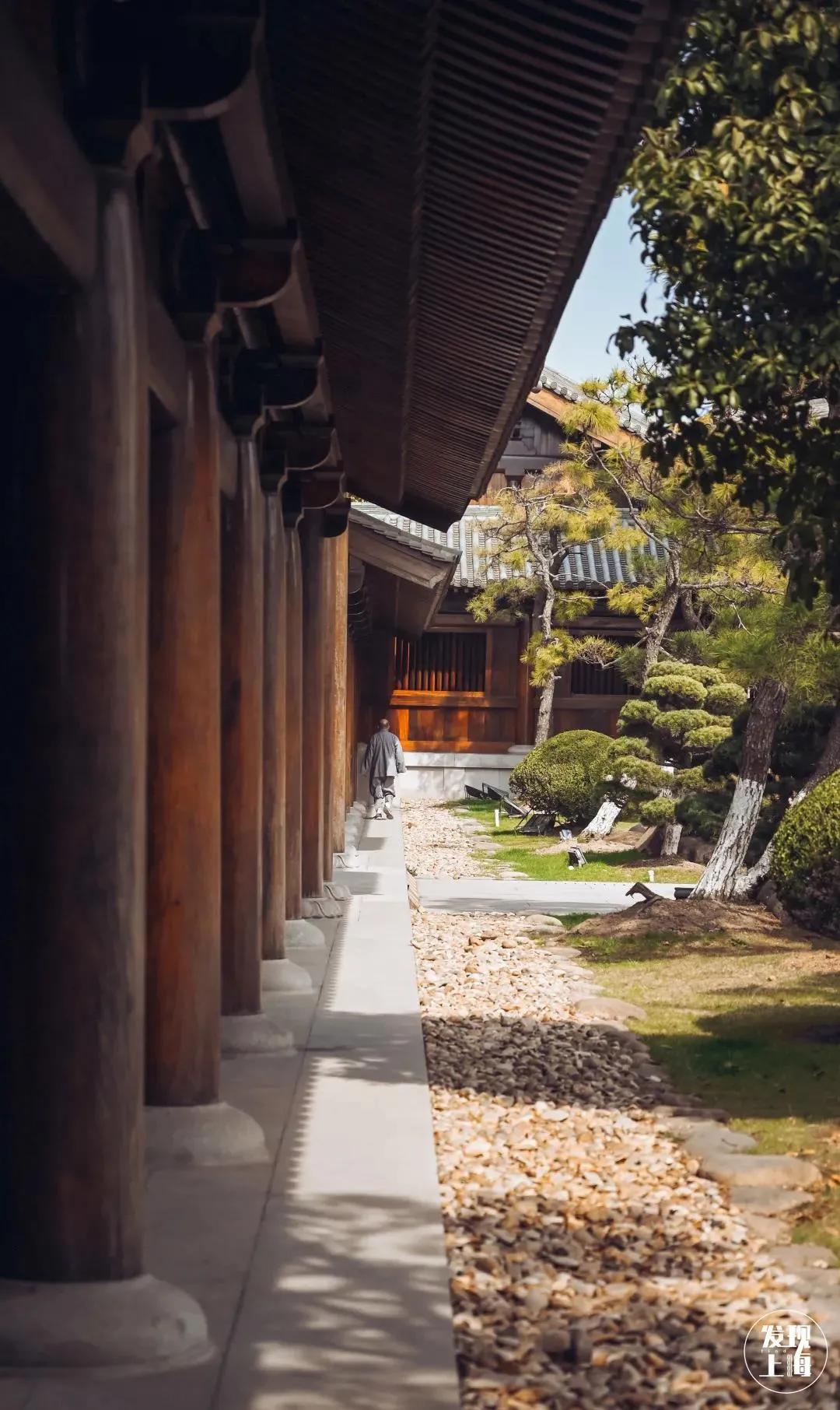 一定要去的八个超美小众古镇,上海魔都踏春好去处