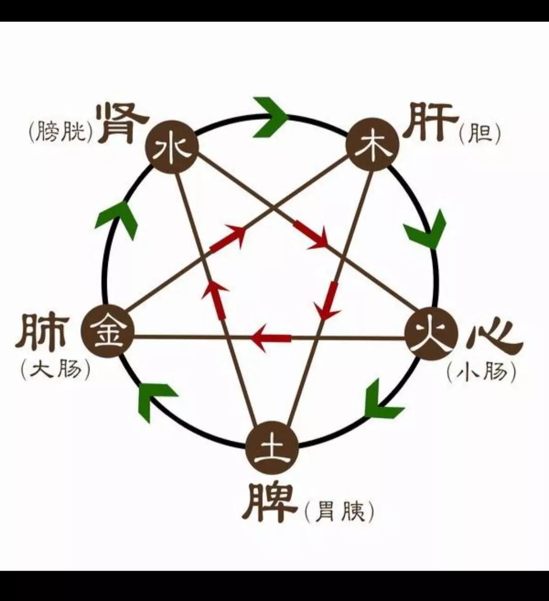 腹泻针灸推拿穴位,一般治疗腹泻的推拿穴位