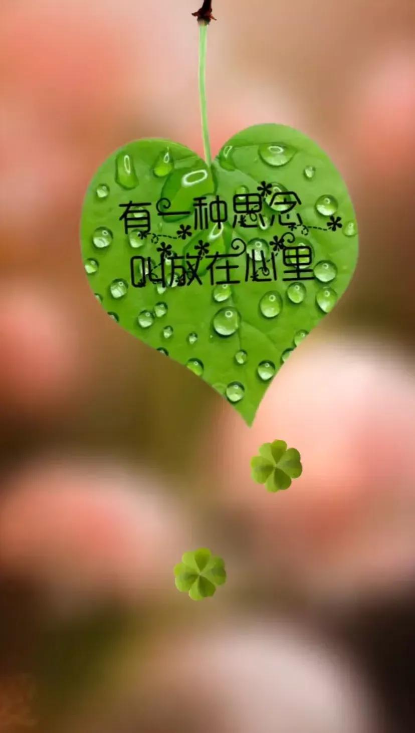 表白文案高级有深度20个字,表白的高级文案英文