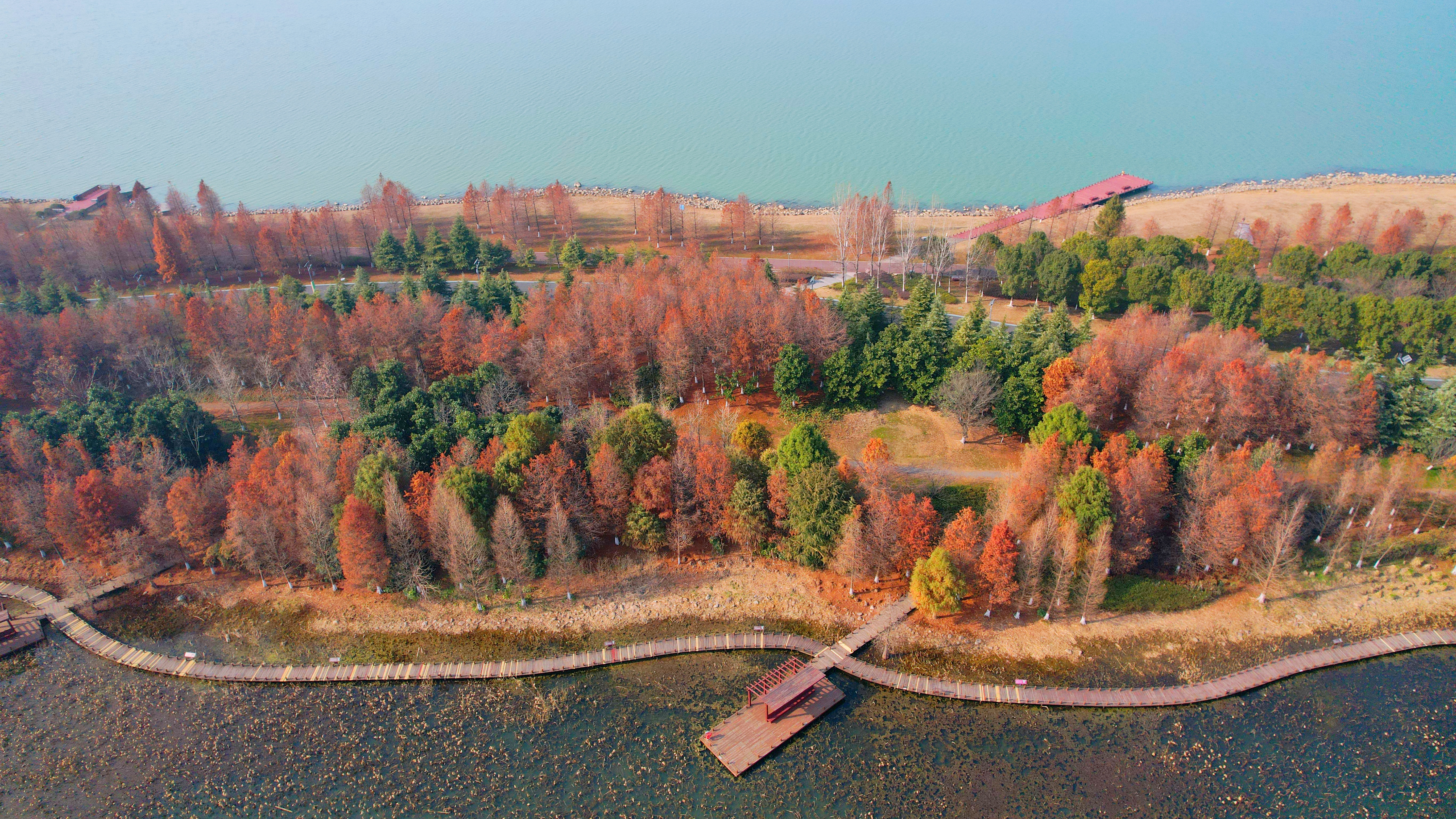 苏州东太湖游玩攻略,新年苏州旅游攻略三天两夜