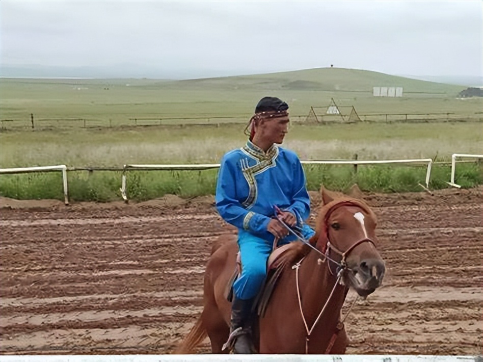 *藏西**男子救治受伤狼崽,放生后15天,狼横跨45公里来报恩