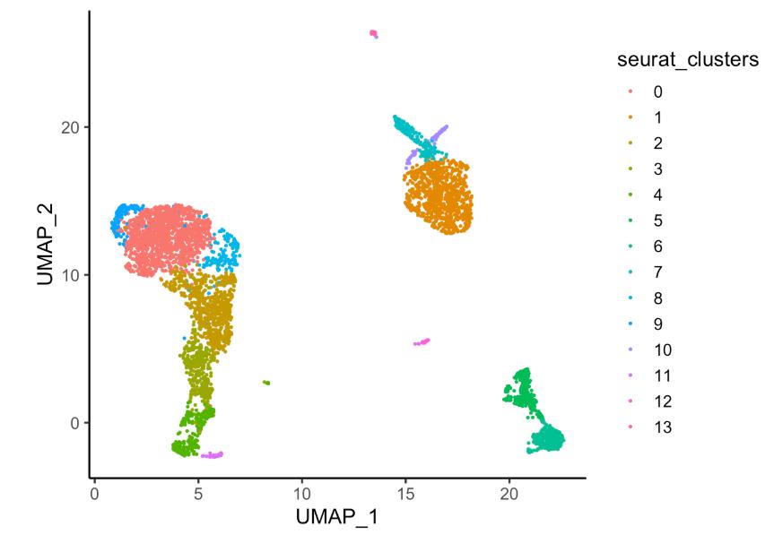 单细胞转录组数据分析,转录组差异基因分析流程