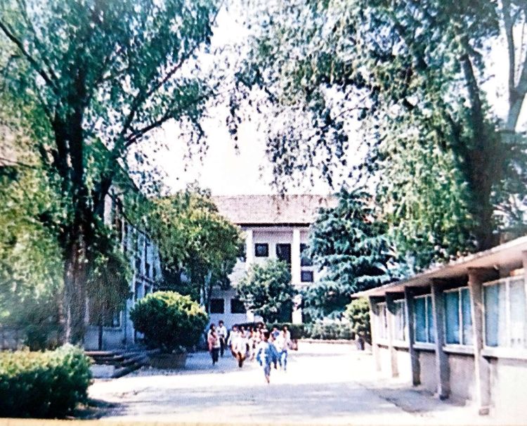 中国中车401厂主要做什么,中车401厂