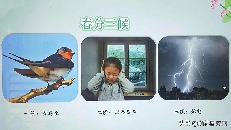 二十四节气知识小科普谷雨,关于二十四节气春分的诗句