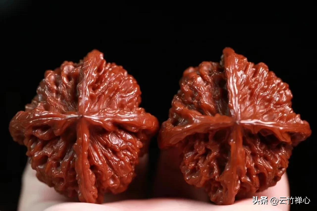 如何挑选菩提金刚,金刚菩提子的选购技巧和方法视频